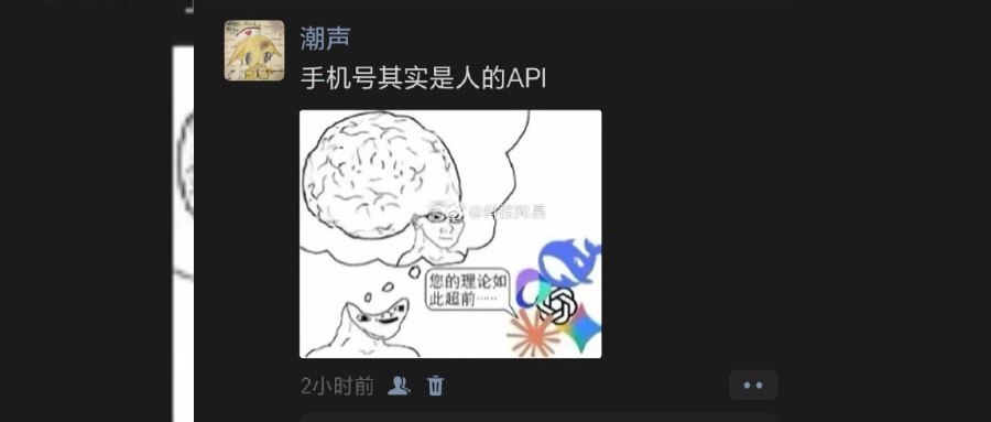 手机号就是我们的API Key：一份无奈的调用说明 题图